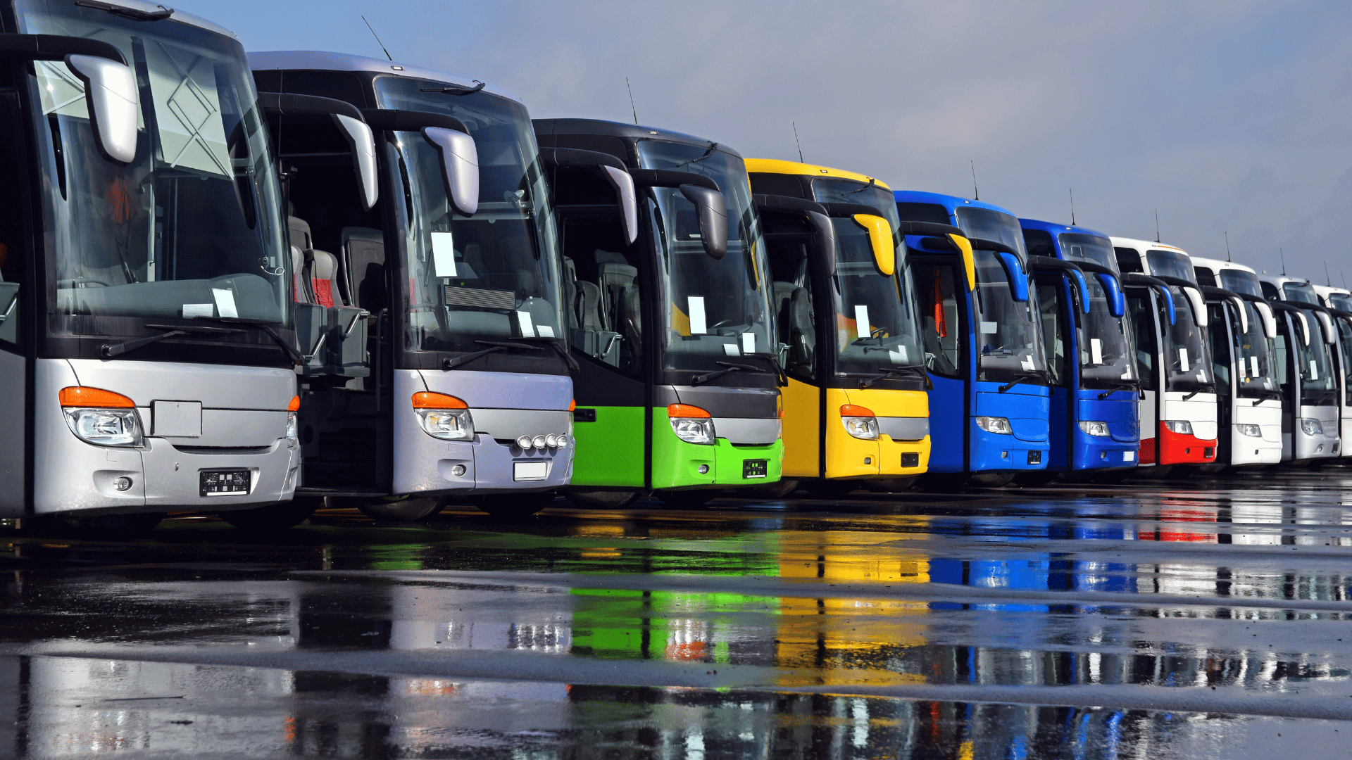 Fleet of Buses
